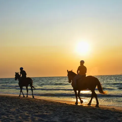 horse riding