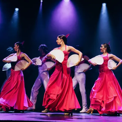 flamenco